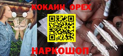соль ск Новозыбков