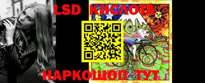 соль ск Новодвинск