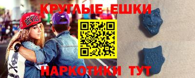 соль ск Новозыбков