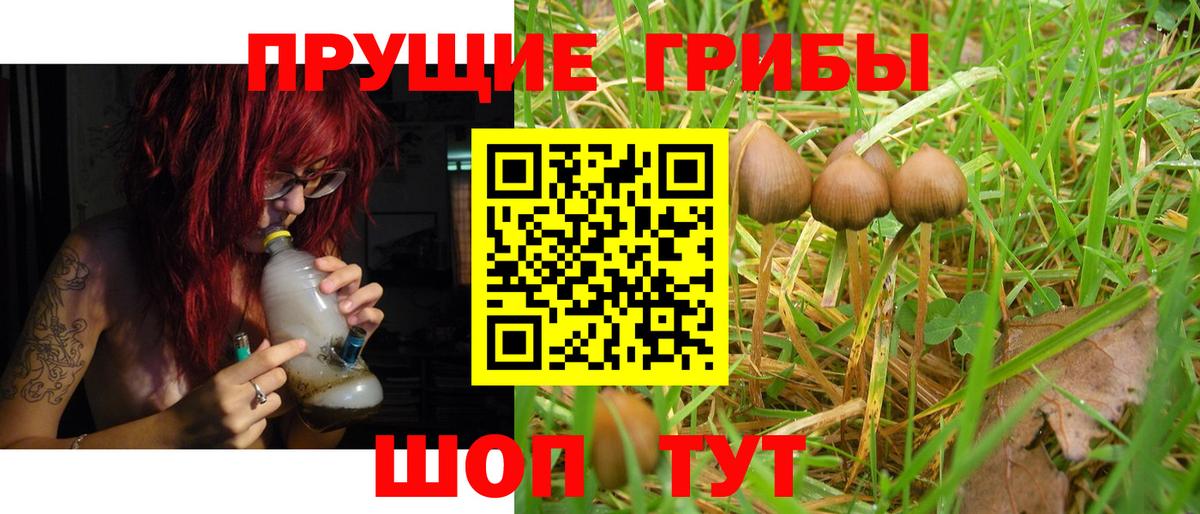 Псилоцибиновые грибы MAGIC MUSHROOMS Тамбов