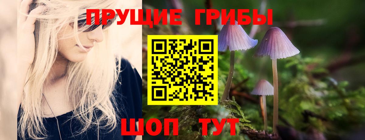 Тамбов  Псилоцибиновые грибы ЛСД  Вход с VPN 